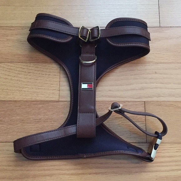 small aquarium with light